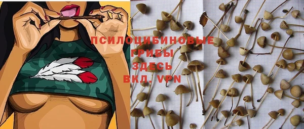 стаф Нея
