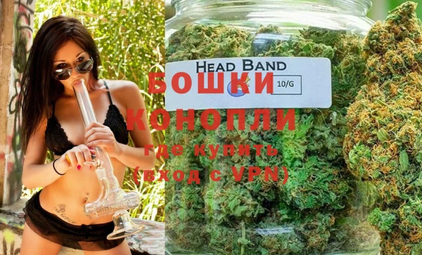 стаф Нея
