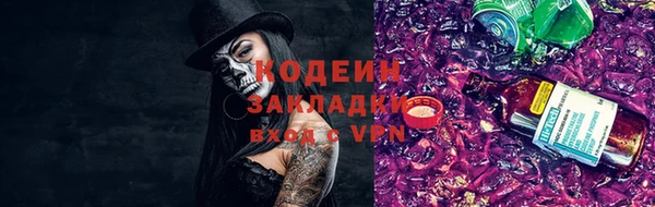 стаф Нея